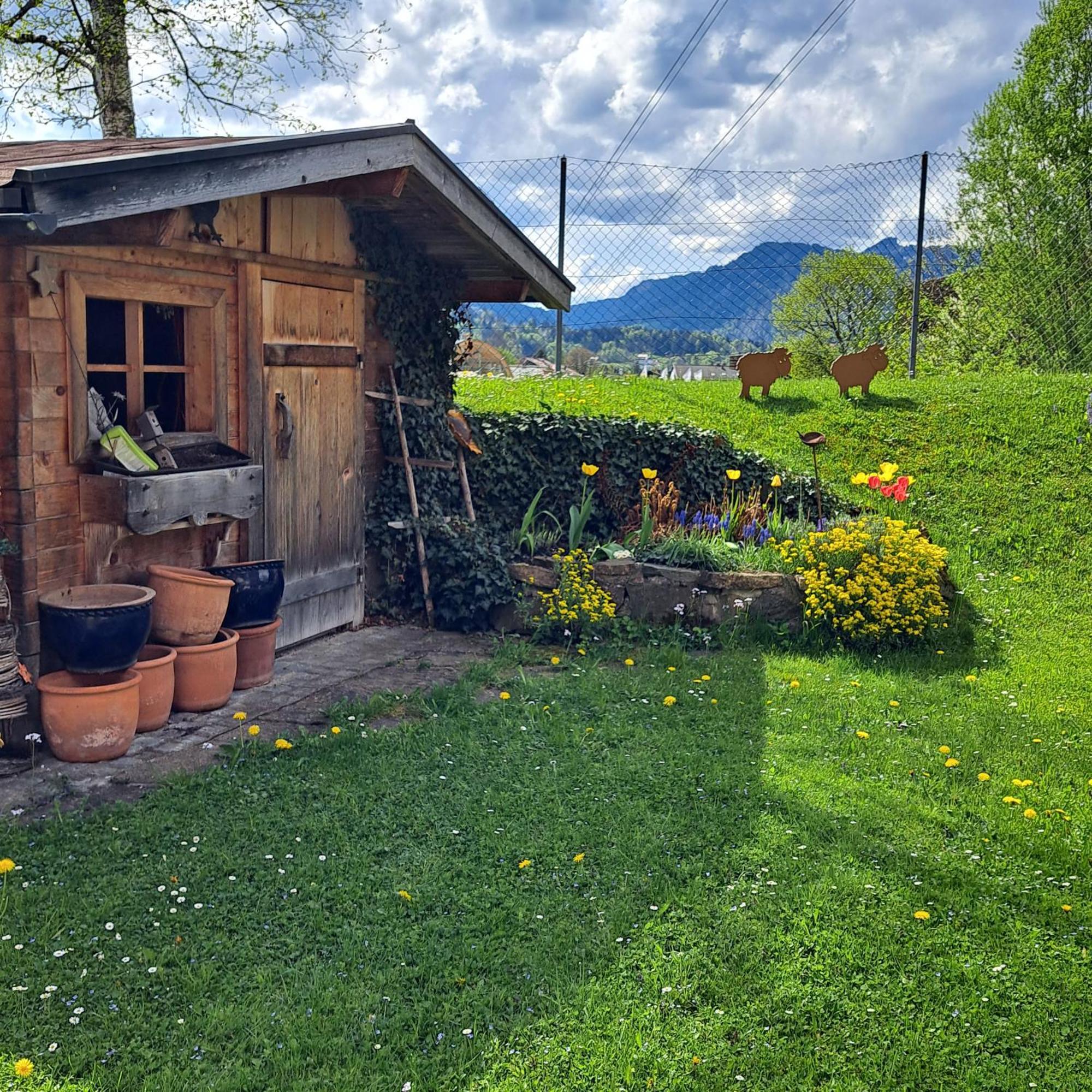 Faltenbach In