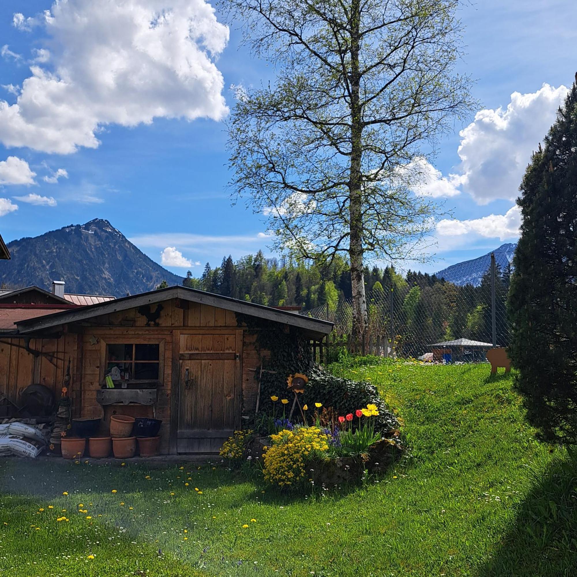 Apartment Faltenbach In